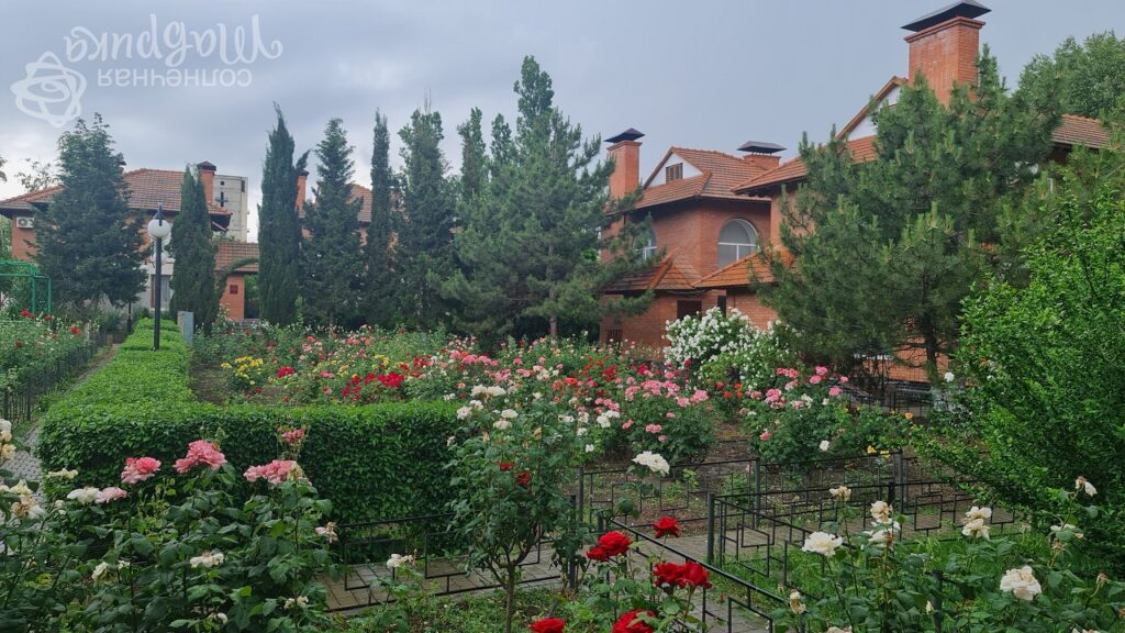 Пансионат Феодосия