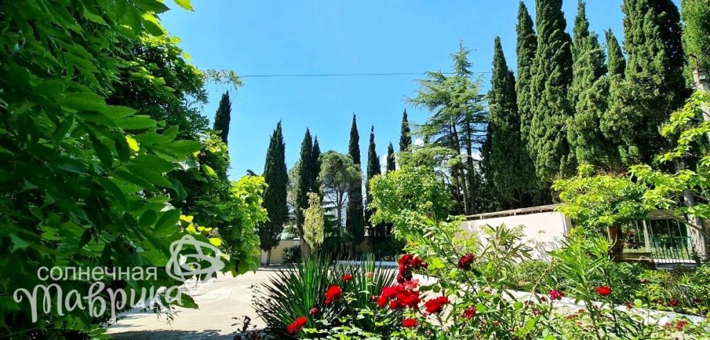 Кипарис
